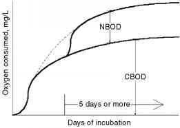 Carboneus Bod氮生化需氧量